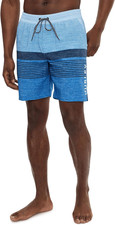 Men'S Epic Ombre Volley Swim Shorts