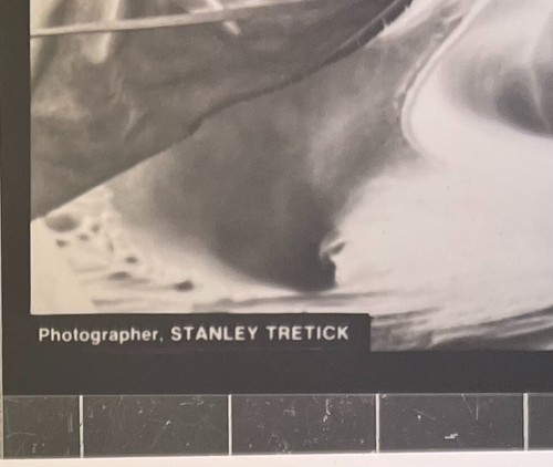 LA LEYENDA DEL GUARDABOSQUES SOLITARIO - FOTOS DE LA PELÍCULA por STANLEY TRETICK - Imagen 2 de 4