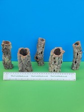 5 X CORK BARK TUBES SPIDERLING TARANTULA SLING SPIDER GECKO LIZARD VIVARIUM  