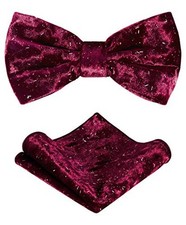 TIE G Men's Glitter Velvet Bow Tie  Pocket Square Set in Gift Box Space Wine