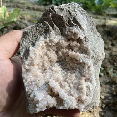 Stunning Pink Dolomite Large Specimen 1 Pound 9.43 Oz