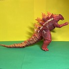 Picture 4 of 11