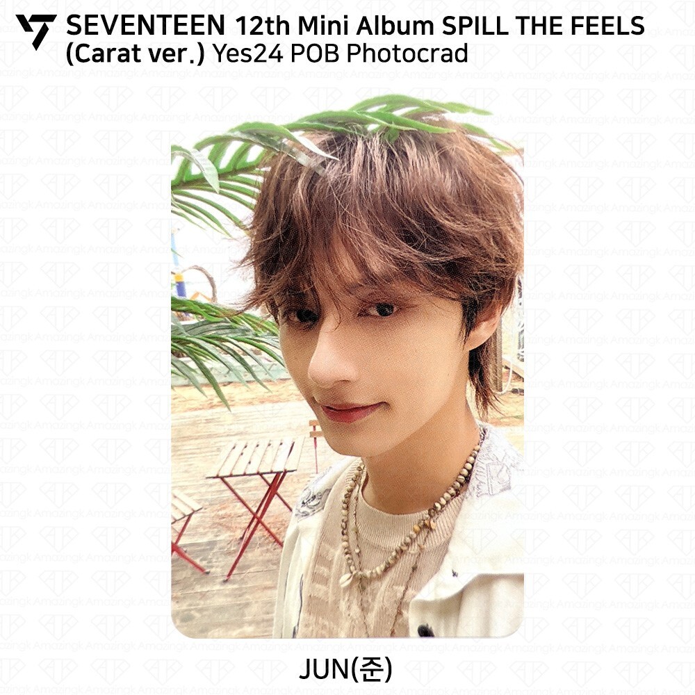 SEVENTEEN 12th Mini Album SPILL THE FEELS Carat Ver YES24 POB