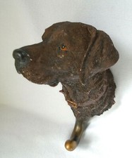 Nature's Window Chocolate Lab Labrador Retriever Single Coat Hook