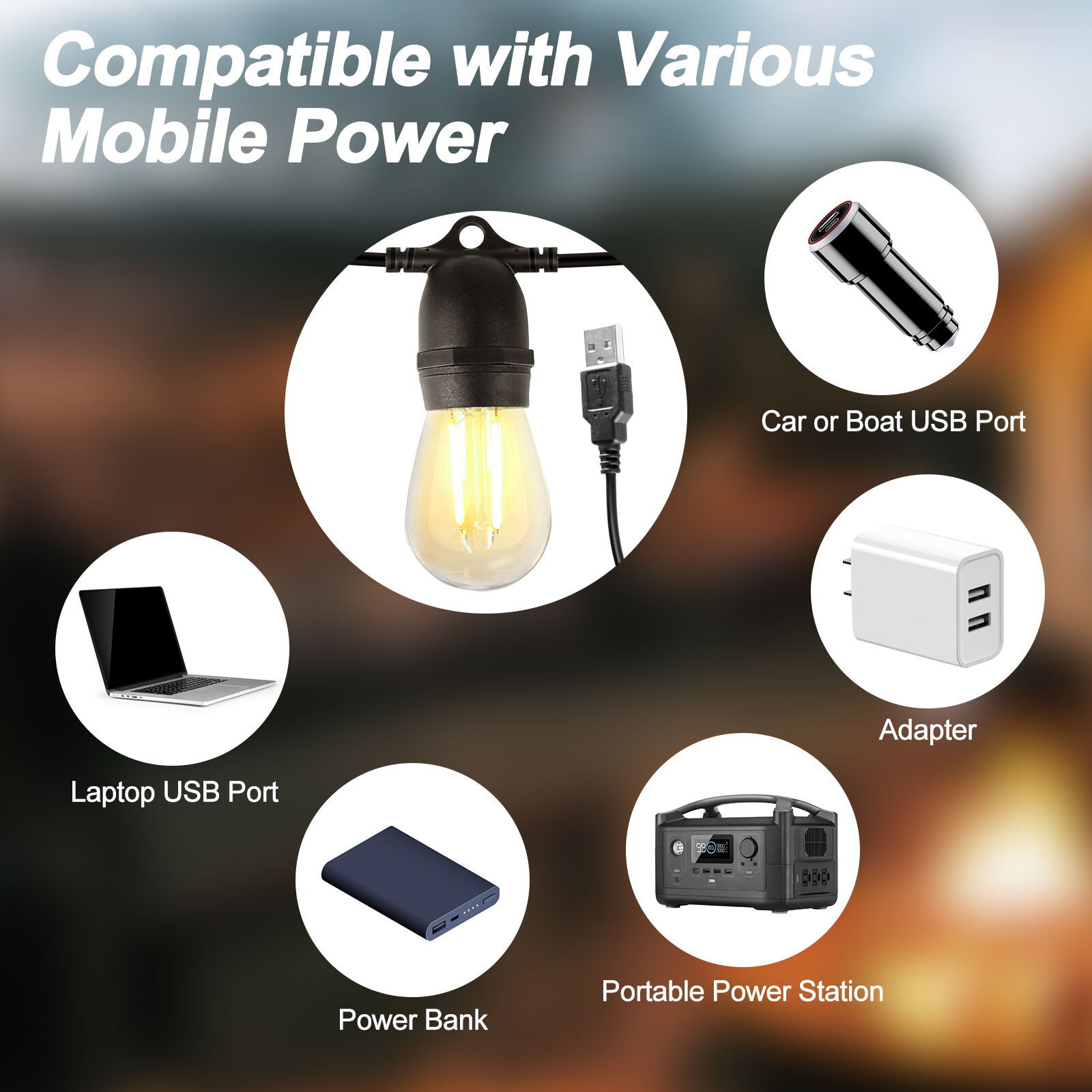 24FT USB Powered Festoon Outdoor String Lights Dimmable S14 Garden