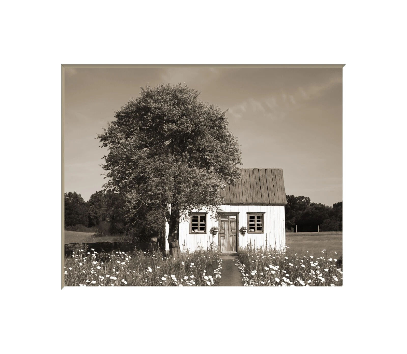Farm Life Signed Home Décor Posters & Prints