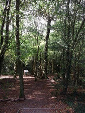 Photo A3 Footpath into Saltbox Hill Biggin Hill A footpath leads down fr c2011