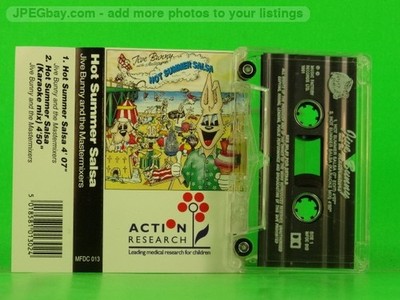 JIVE BUNNY AND THE MASTERMIXERS HOT SUMMER SALSA (123) 2 Track Audio Cassette MU