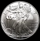 2010 1 Oz .999 fine Silver American Eagle BU (Brilliant Uncirculated)