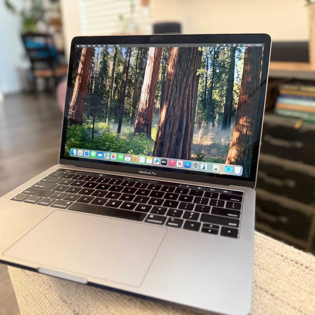 Apple MacBook Pro 13.3