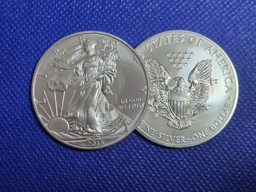 2x 2013 Walking Liberty 1oz American Silver Eagle Dollar Fine Silver 1-Troy Oz