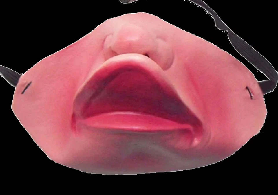 Máscara facial Funny Duck LATEX MEIA PARTE INFERIOR Fantasia de Halloween Freak Capa Boca -PATO - Imagem 3 de 4