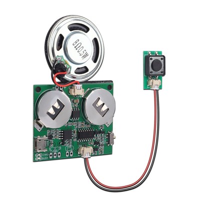 Sound Module, Icstation Programmable Sound Chip for Greeting Card 8M USB Char...