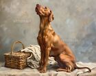 Vizsla Dog on Picnic Blanket with Basket - 8x10 Matte Print