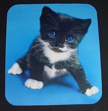 Mouse Pad Kitten "Wouldn't You Rather Hold Me Than Your Mouse " Non-slip Large