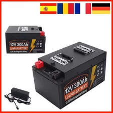 Lithium Iron Phosphate Battery 12V 200Ah LiFePO4 Built In BMS for Replacing Most