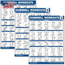 Palace Learning 3 Pack - Dumbbell Workout Posters for Home Gym - Volume 1, 2  3