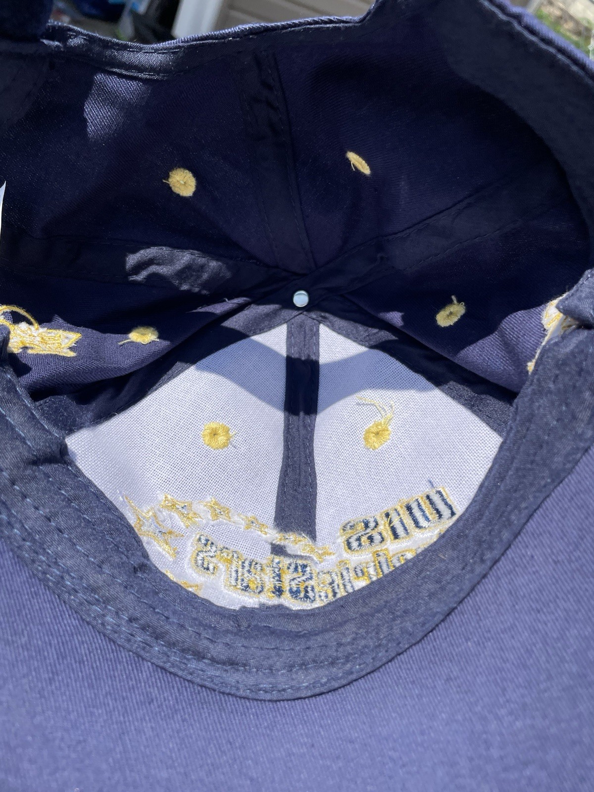 UIS Prairie Stars Hat 2010 Boy Scout Edition 