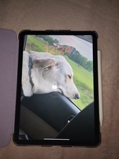 Apple iPad 10.9in Gray Wi Fi Tablet 64GB and 2nd generation apple pencil