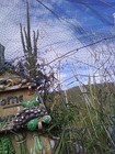 Bild 3 von 3