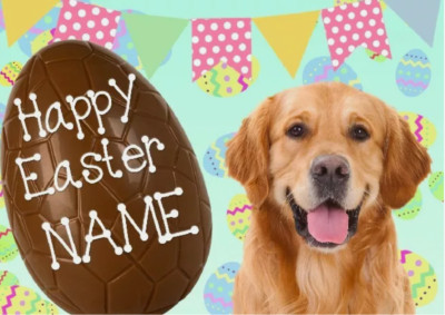 Golden Retriever Frohe Ostern personalisierte Grußkarte A5 Schokoladenei EE28