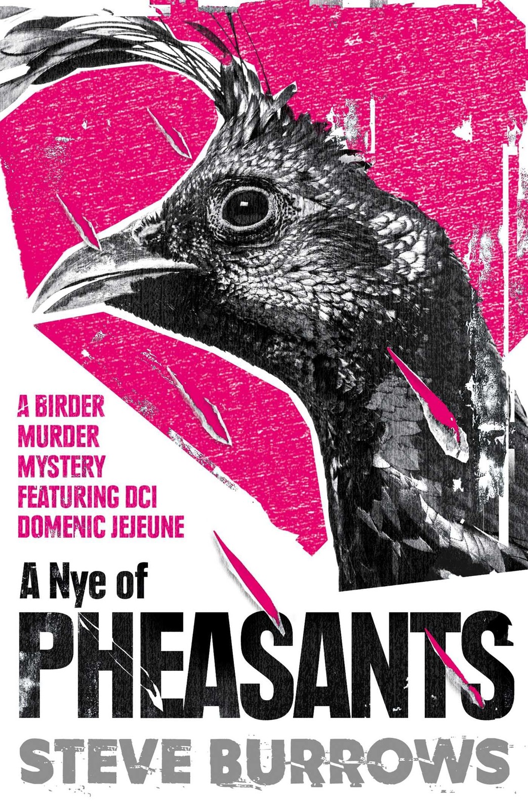 A Nye Of Pheasants : Birder Murder Mysteries Steve Burrows - Image 2