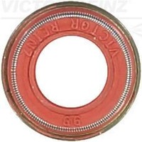 Victor Reinz Dichtring, Ventilschaft 70-42054-00