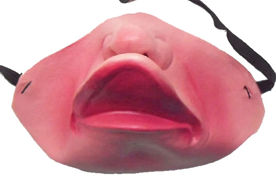 Máscara facial Funny Duck LATEX MEIA PARTE INFERIOR Fantasia de Halloween Freak Capa Boca -PATO - Imagem 4 de 4