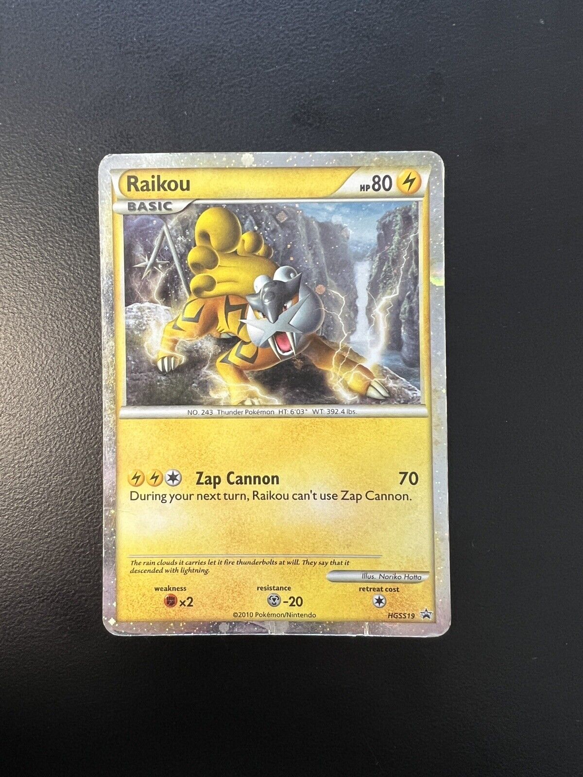 Raikou - HGSS19 - HGSS Promos - Pokemon