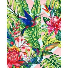 Paint By Numbers Adults kids Hummingbird Animal DIY Painting Kit 40x50CM Canvas