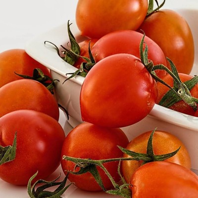 Semences OSC | Graines de Tomate 'Roma VF' – Variété Résistante et