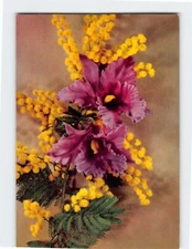 Postcard Beautiful Flowers