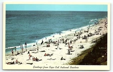 1950s GREETINGS FROM CAPE COD NATIONAL SEASHORE BEACH SUNBATHING POSTCARD P6228