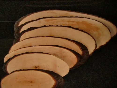 Käsebrett Rinde Schneidbrett Rindenbrett ERLE Holz Deko Servierbrett Baumscheibe