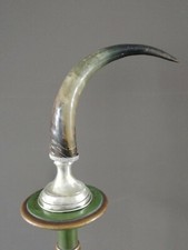 Antico corno di bue con piedistallo in metallo vintage epoca altezza 60 cm