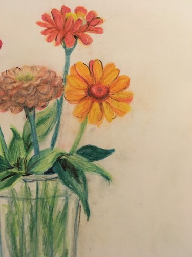 lápiz pastel flores zinnia originales en jarrón - Imagen 3 de 4