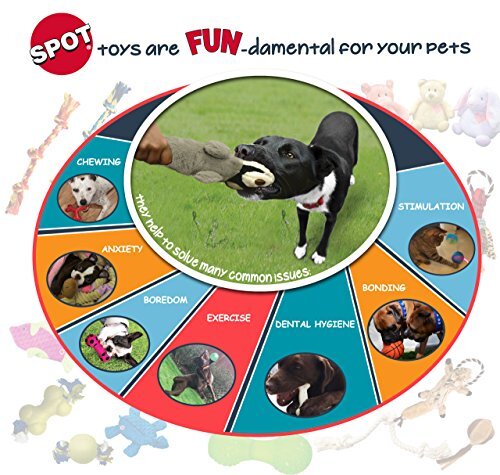 Ethical Pet Interactive Seek-A-Treat Flip 'N Flap Bone Dog Toy Puzzle That Wi...