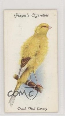 1933 Player's Aviary and Cage Birds Tobacco Dutch Frill Canary #10 2k3