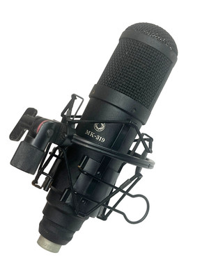 Oktava MK-319 Large Diaphragm Condenser Microphone with Shock Mount