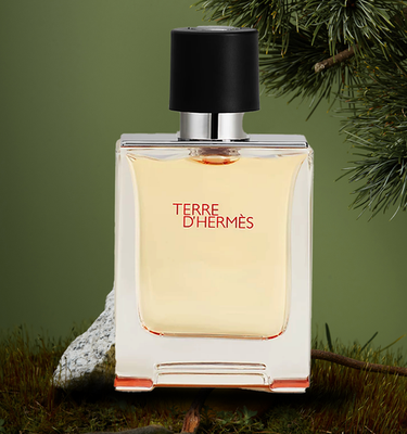 Terre D'Hermes By Hermes Eau De Toilette for Men 3.4oz/100ml