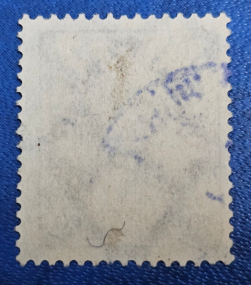 標本 Germany Dyisus margimalis 31mm Stamp Germany Deutsches Reich 20 Mark 1922 Mi. Nr. 207 [🇩🇪34615