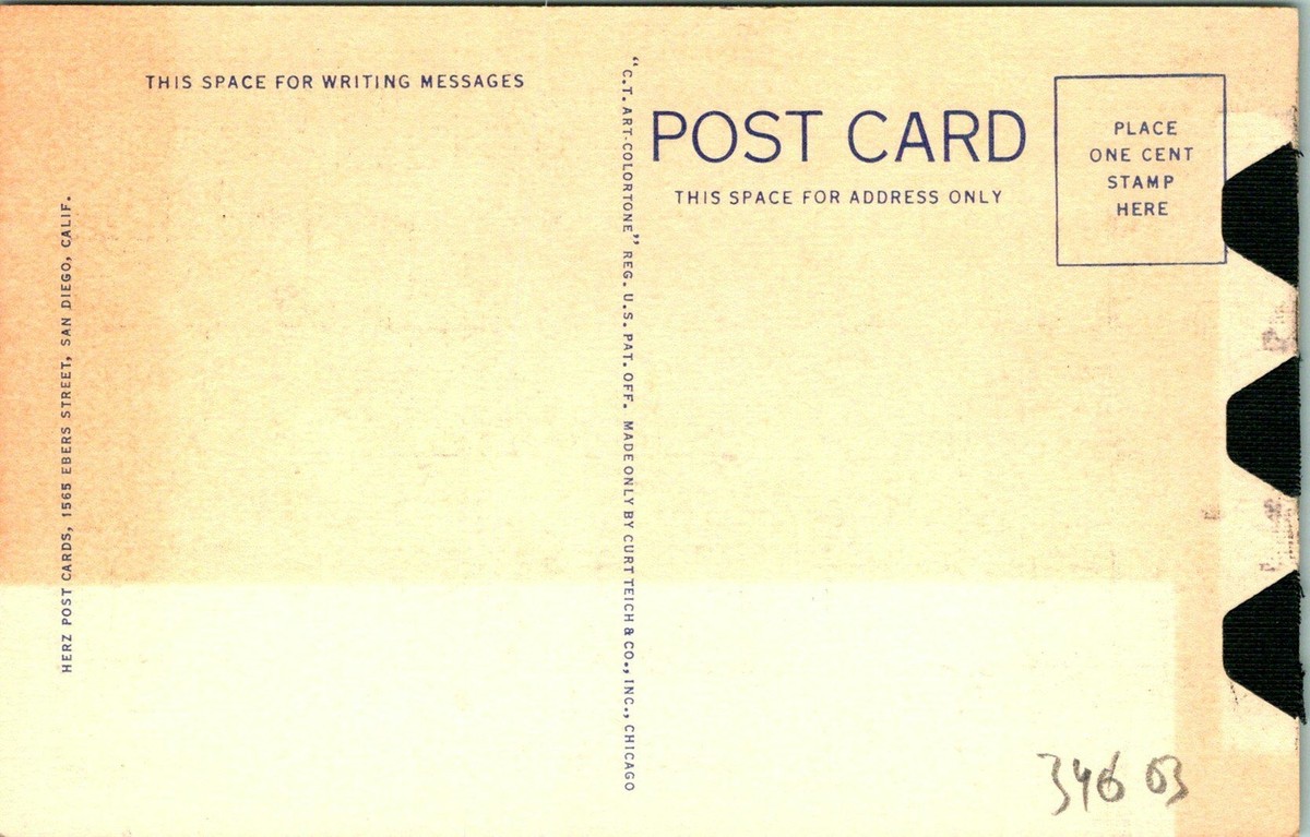 Mistletoe on Palo Verde Postcard Unused (34603) | eBay