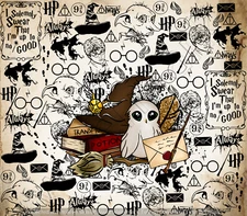 Harry Potter Design 2 custom made 20 oz skinny Stainless steel tumbler P0735