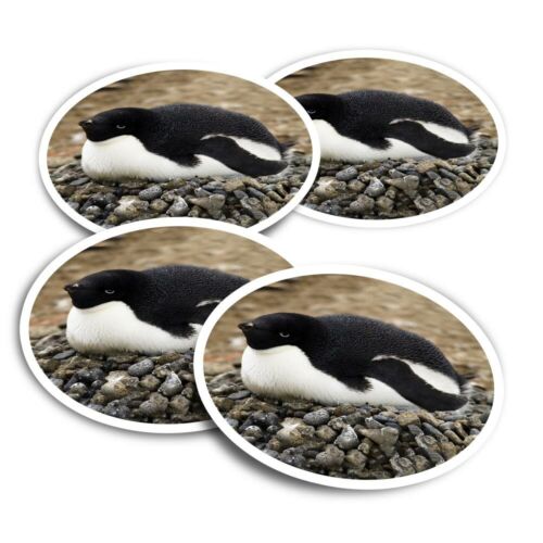4x Round Stickers 10 cm - Adorable Baby Penguin Antarctica  #15707 - Picture 1 of 8