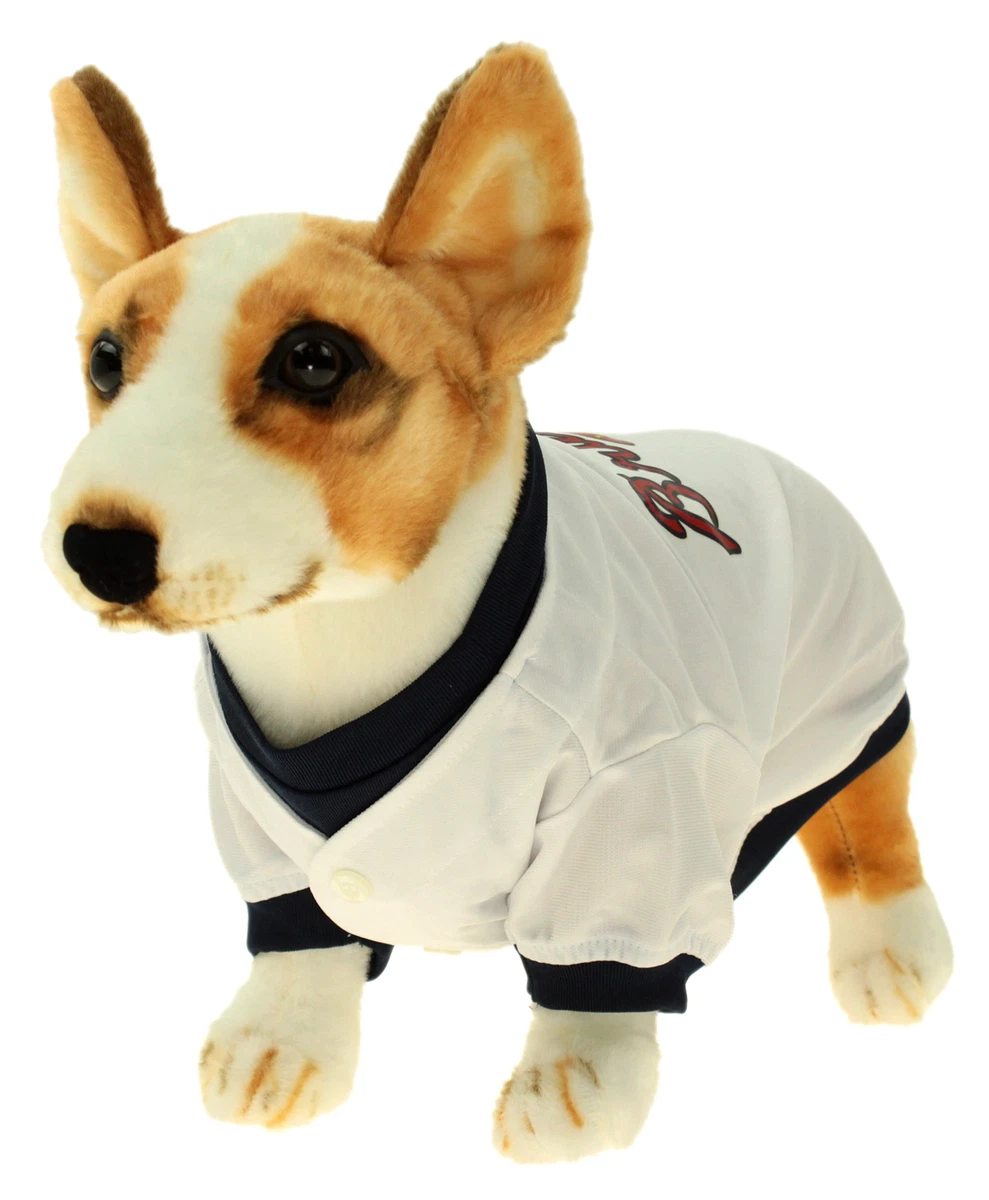 atlanta braves dog apparel