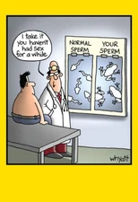 Frogs on X-ray Funny Tim Whyatt Birthday Card - Greeting Card by Nobleworks