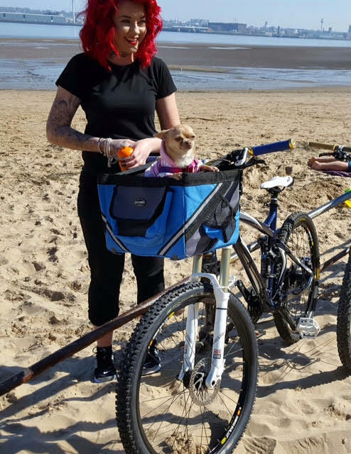 Bicycle Basket Dog Carriers Supplier Riding Bike Handlebar Cat