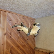 Casey Edwards Wood Carving River Otter Spearing Decoy Vintage Fish Decoy Artwork