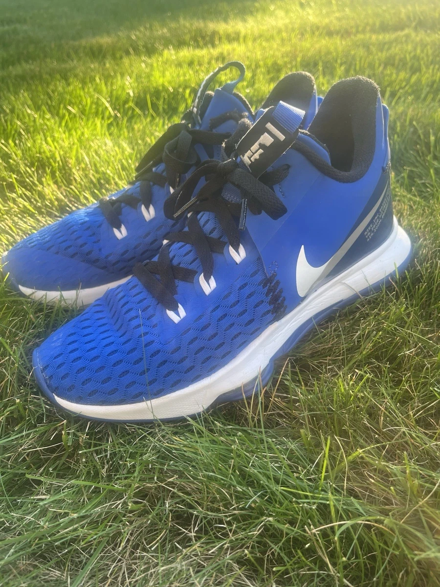 NIKE LeBron Witness 5 バスケットボールシューズ Nike LeBron Witness 5 Game Royal for Sale | Authenticity