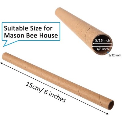 200 Pieces Bee Houses Refill Tubes, 6 inches